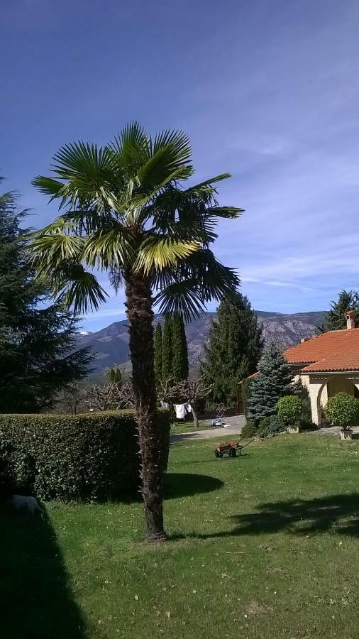 Canigou Lodge Vernet-les-Bains Ngoại thất bức ảnh