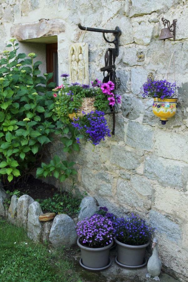 Canigou Lodge Vernet-les-Bains Ngoại thất bức ảnh