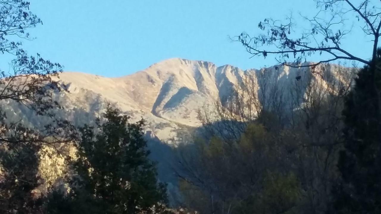 Canigou Lodge Vernet-les-Bains Ngoại thất bức ảnh
